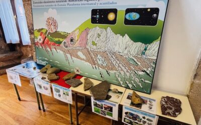 Adituek diote Euskal Herriko flysch-a (“irristatu” edo “jariatu”, alemanieraz) mirari geologiko bat dela. Izan ere, Pirinioetako mendilerroaren sorrerarekin batera tolestu eta azaleratu zen egitura honetan duela 110-55 milioi urte arteko gertakarien inguruko informazioa dago gordeta, hala nola, itsas-mailaren gorabeherak, klima-aldaketak, ardatz magnetikoaren aldaketak, garai hartako izaki bizidunen aztarnak (fosilak) etabar. 60 MILIOI URTEKO HISTORIA AZALERATUTA