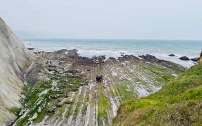 60 MILIOI URTEKO HISTORIA AZALERATUTA