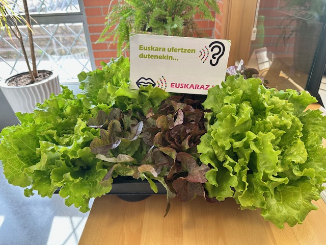 ABADIÑOKO INSTITUKO ORTUKO PROIEKTUA